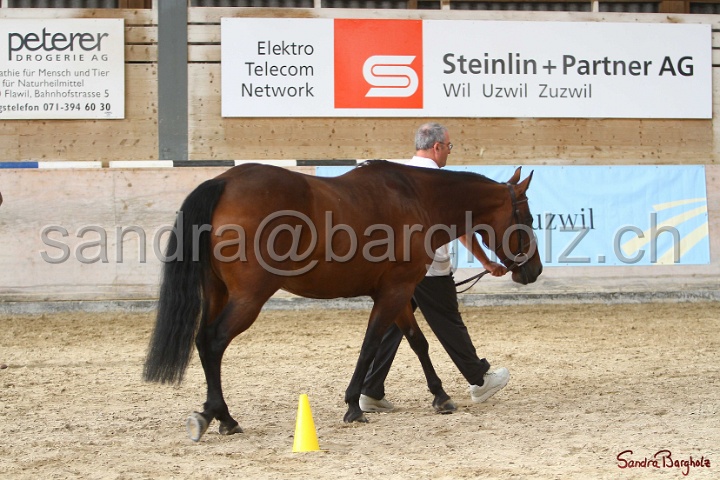 24-ApHC HIH_021.jpg